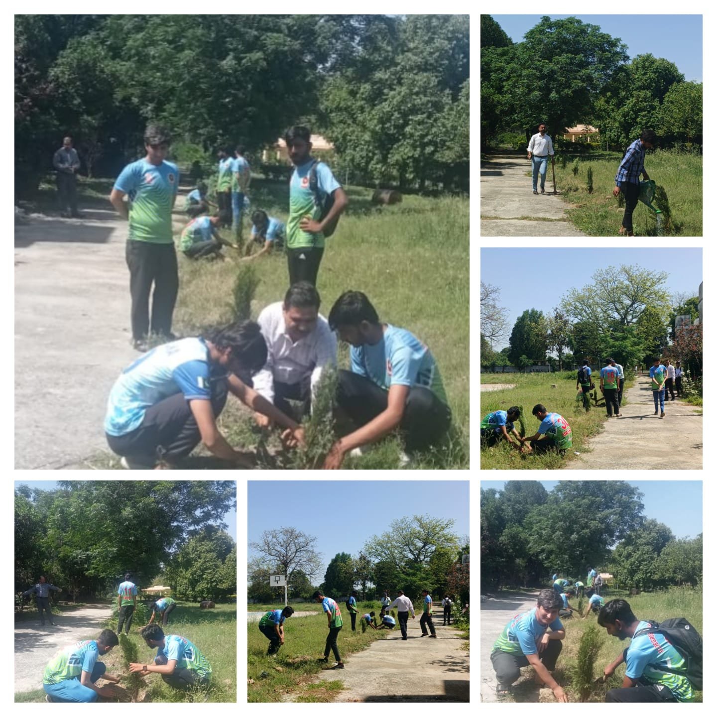 Tree Plantation Compaign